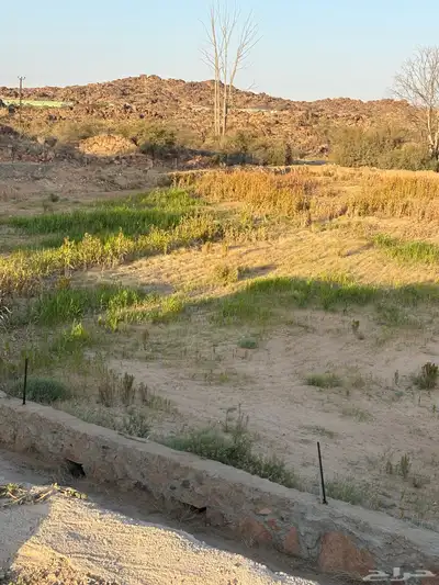 علف للبيع index