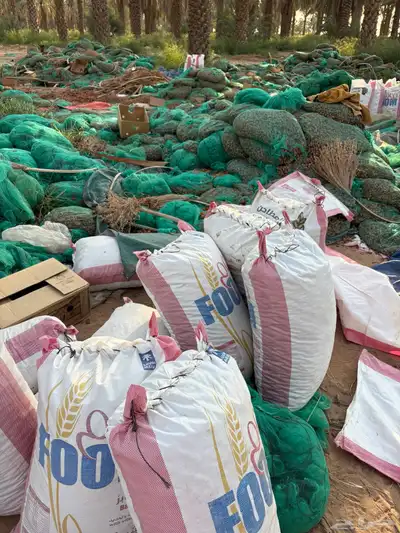 تمر نفيع 3000 كيس تزيد وتنقص index