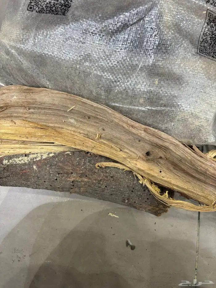 للبيع حطب افريقي 10 كيلو 2