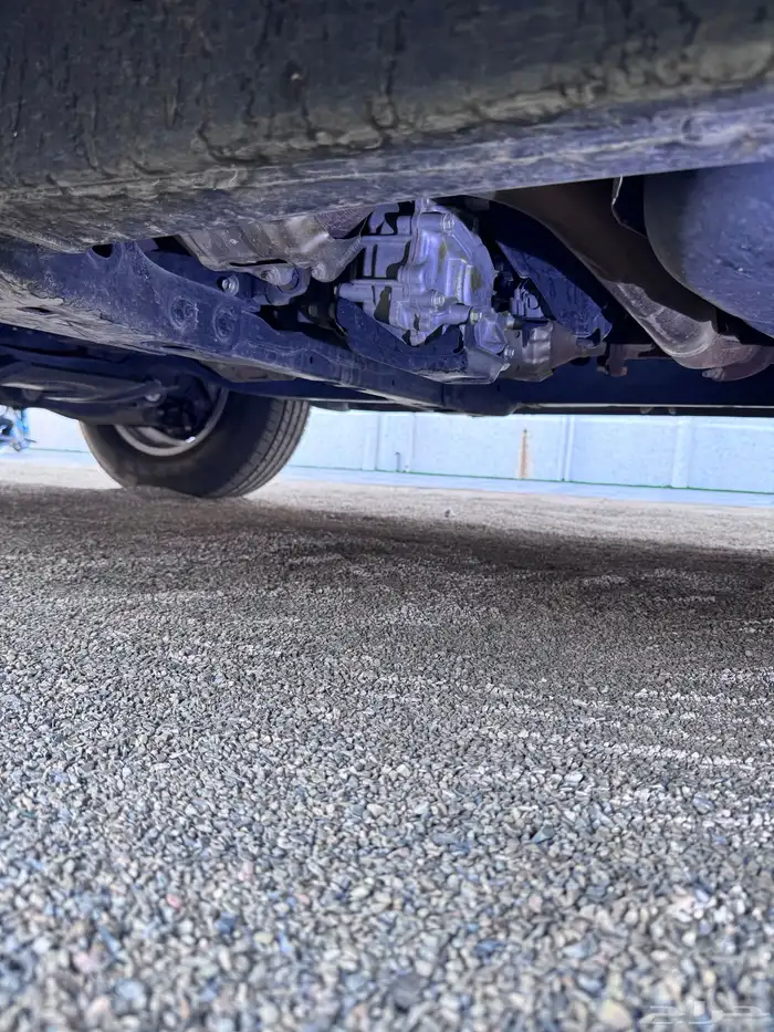 سكويا ( نص فل نظيف ) 57