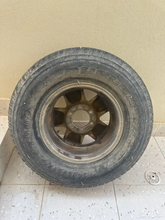 استبنة فورشنر 2006 من وكالتها 2