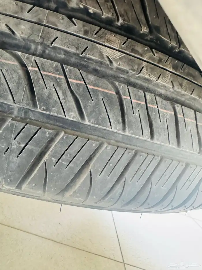 تورنق 2019 سعودى 15