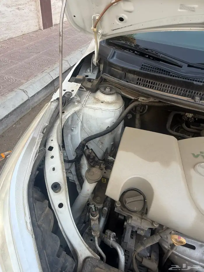 يارس 9 1 0 2 وردة 22