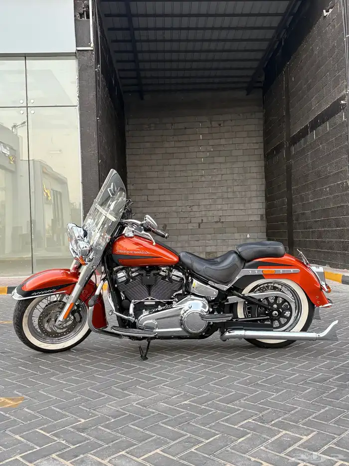 هارلي سوفتيل ديلوكس 2019 اللي يدور النظيف 0