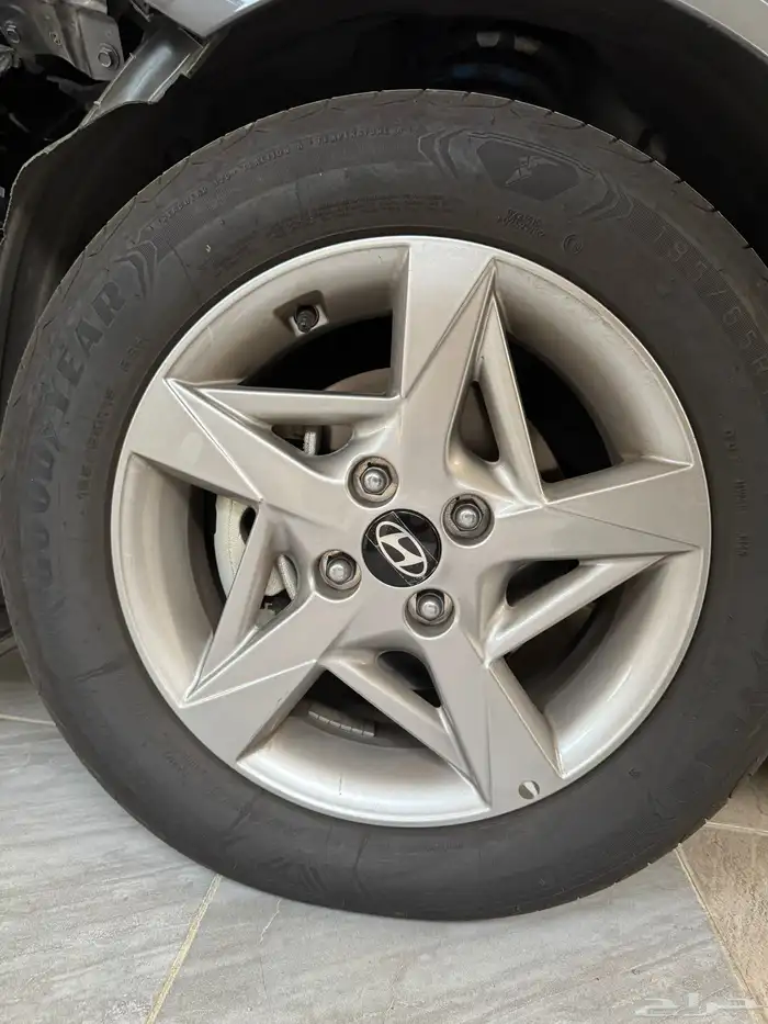 جنوط اكسنت فليت 2025- 2