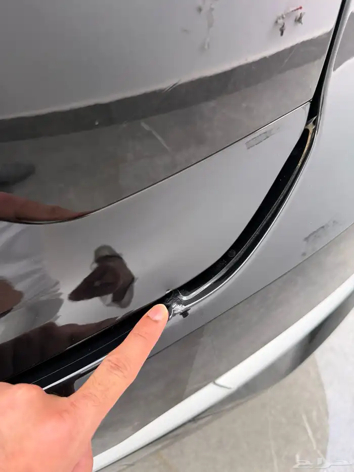 تورس ترند 2025 توكيلات 17