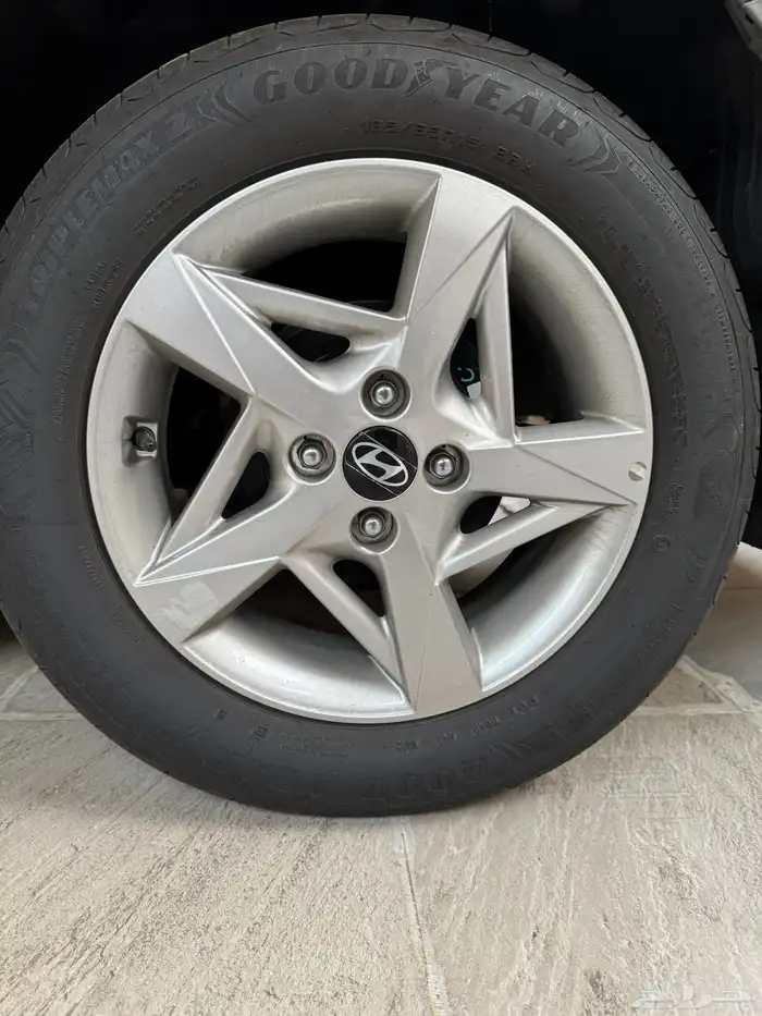 جنوط اكسنت فليت 2025- 1