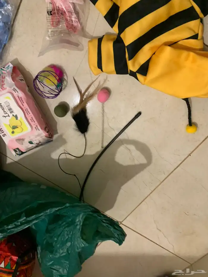 ادوات و العاب ومنزل للقطط 4