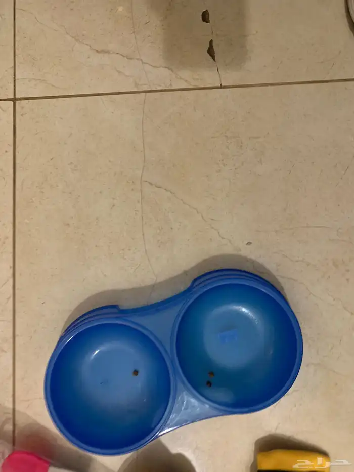 ادوات و العاب ومنزل للقطط 10