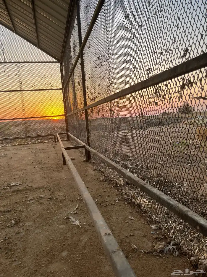 شبك حمام للبيع 2