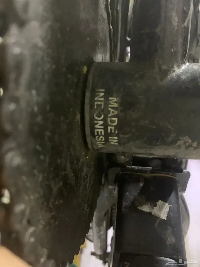 رامبو 20اندنوسي 4