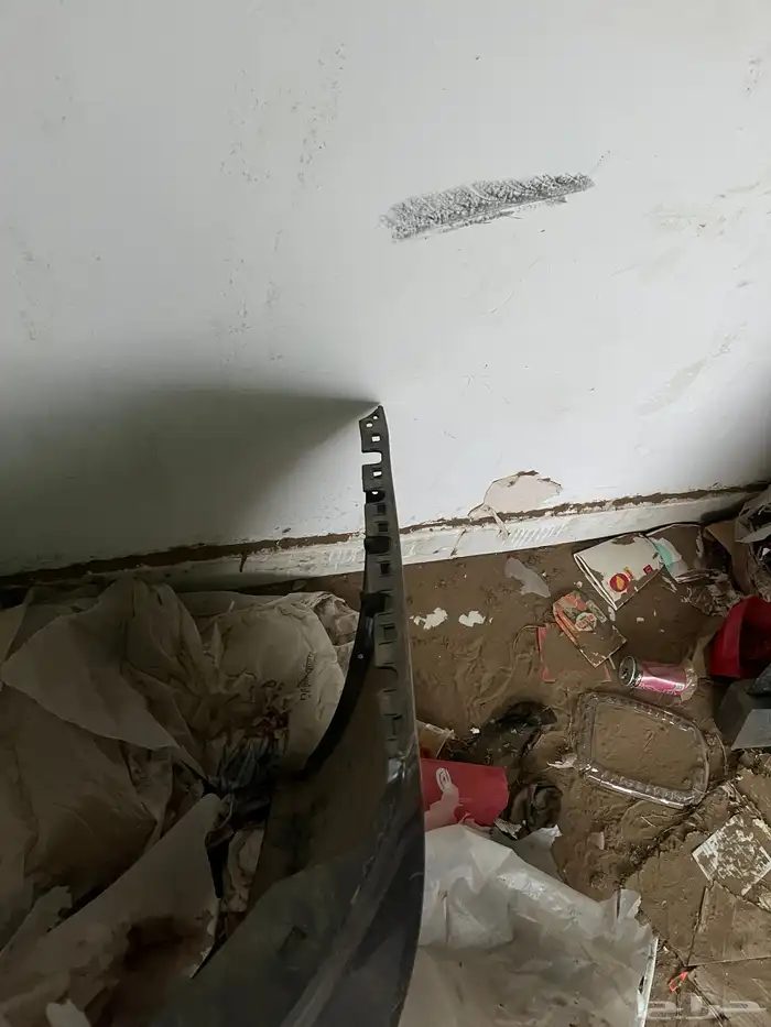 صدام خلفي دودج 1