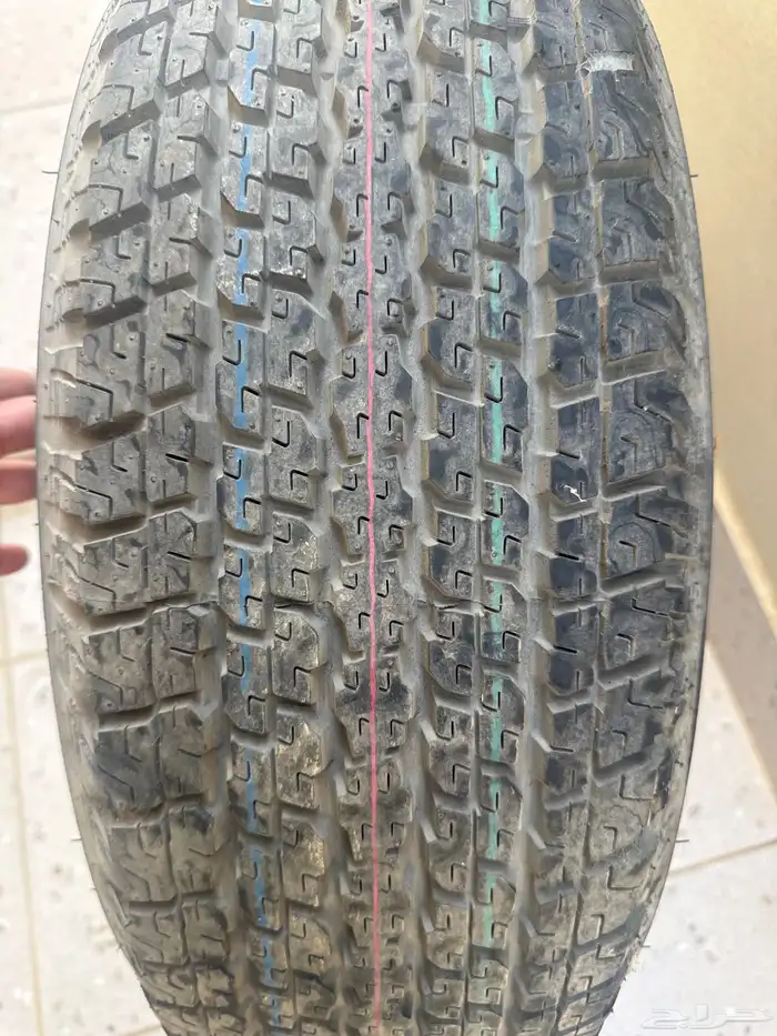 استبنة فورشنر 2006 من وكالتها 1