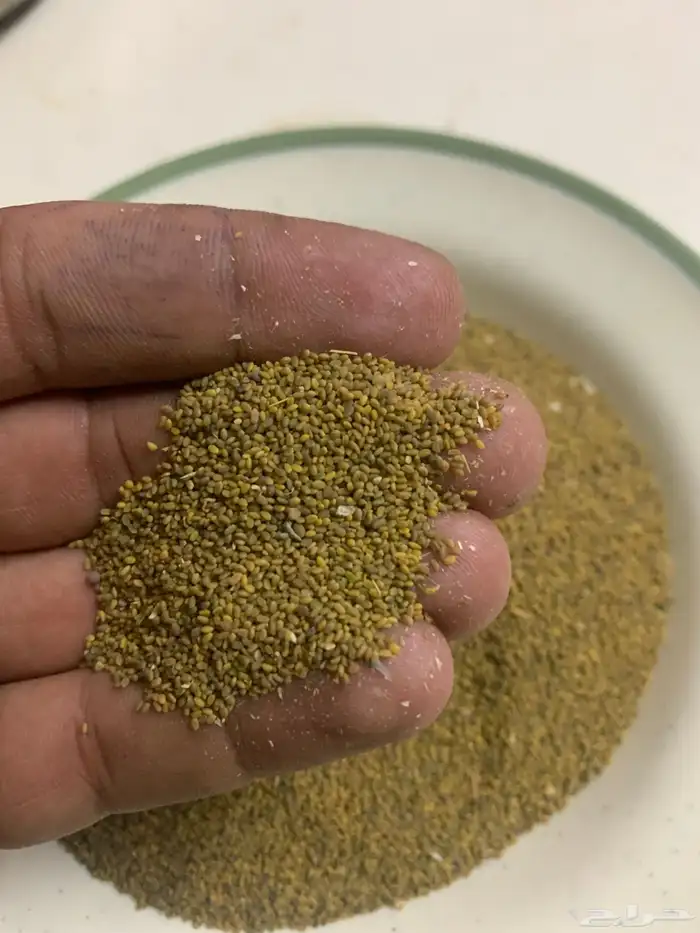 بذور النفل 0