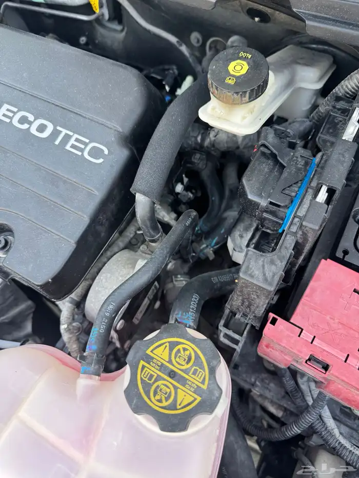 سبارك 2020 ممشى 88 17