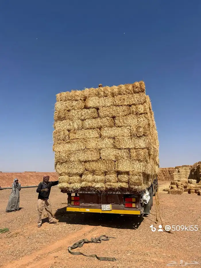 الدفع عند الوصول تبن برر قمح 0