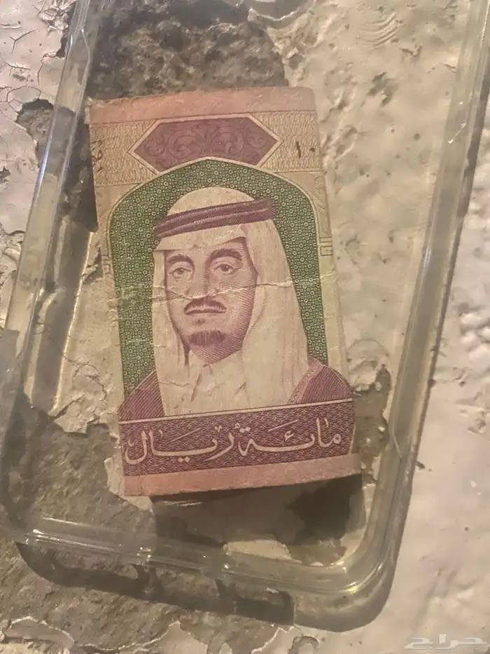 دباب تايقر2025 6