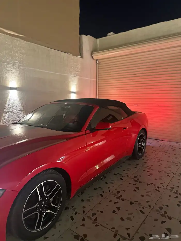 موستنق 2018 كشف 3