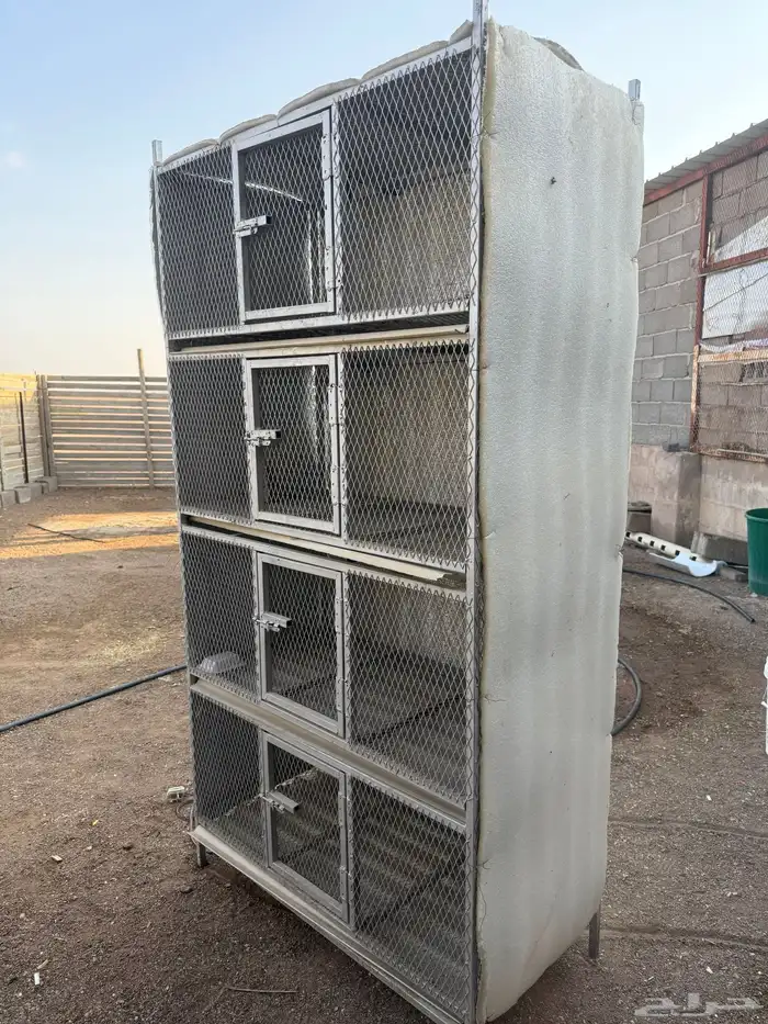 حاضنات - تم البيع .. تم البيع 3