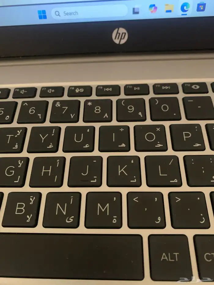 لابتوب hp G10 255 موديل 2024 2