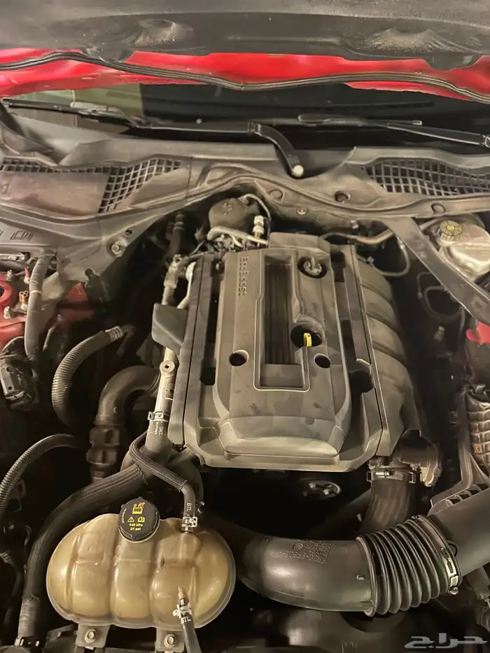 موستنق 2018 كشف 14