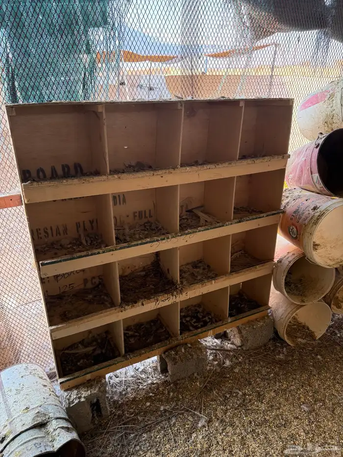 مخفق16فتحه عا السوم 0