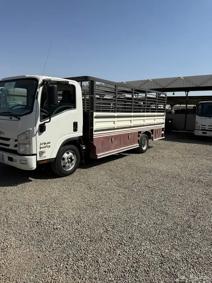 دينا ايسوزو 2022 شاص 5 متر مكينه 3000 الممشى 239 ألف 1