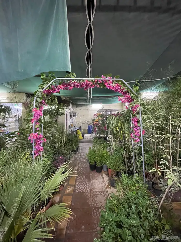 ستاندات للجهنمية و المتسلقات 3