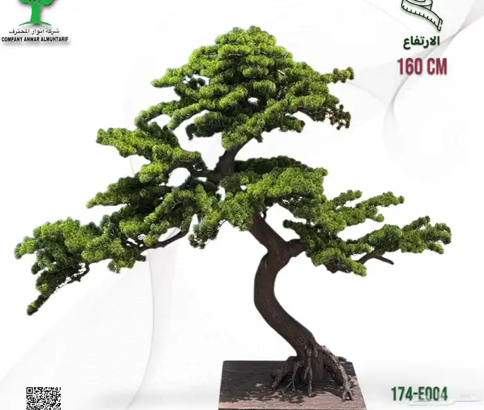 شجر صنايع اي مناطق 1