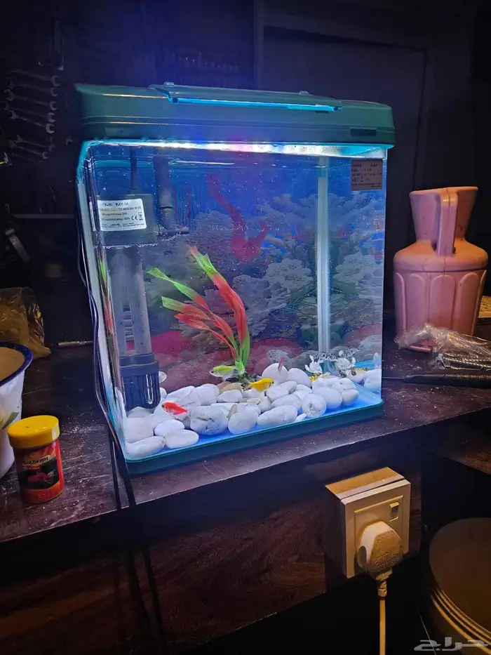 حوض سمك بديكوراته 1