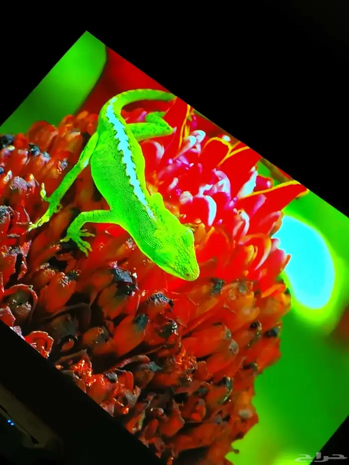 بروجكتر ابسون ليزر 1