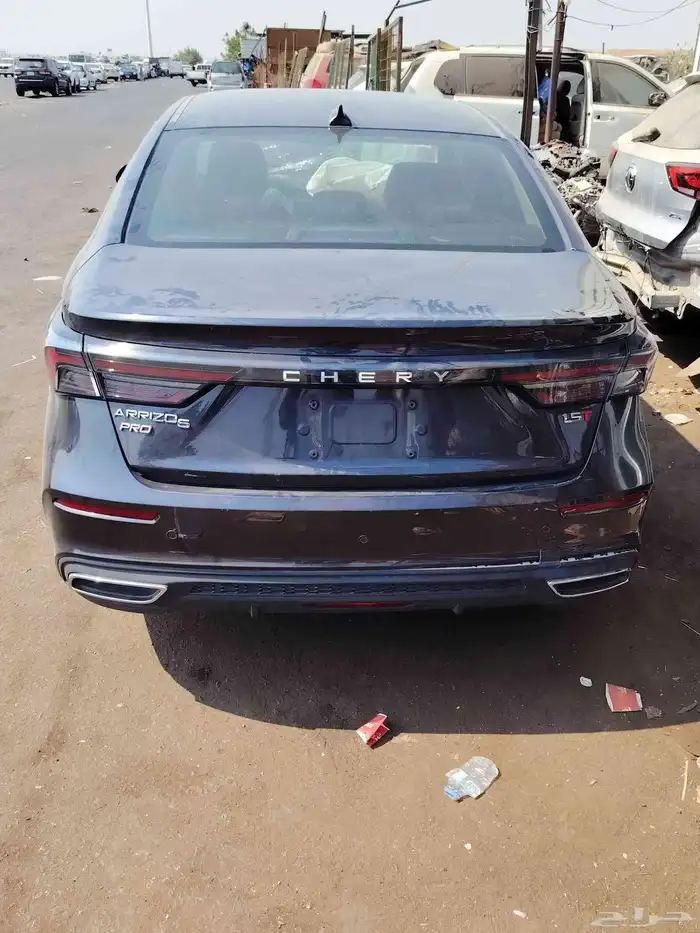 شيري اريزو 2023 0