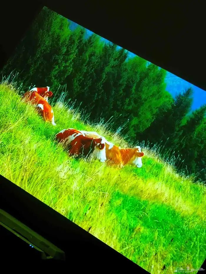 بروجكتر ابسون ليزر 3