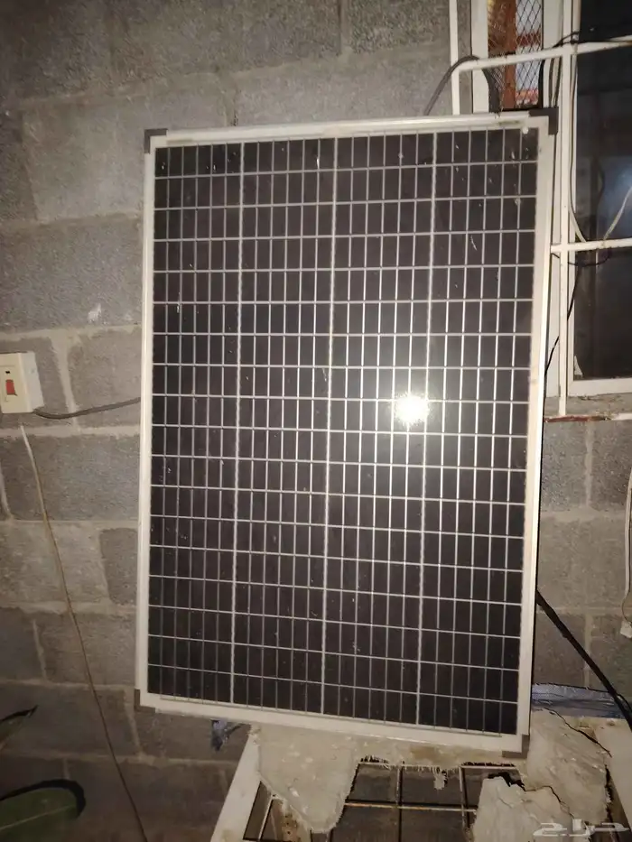 القطيف العواميه 1