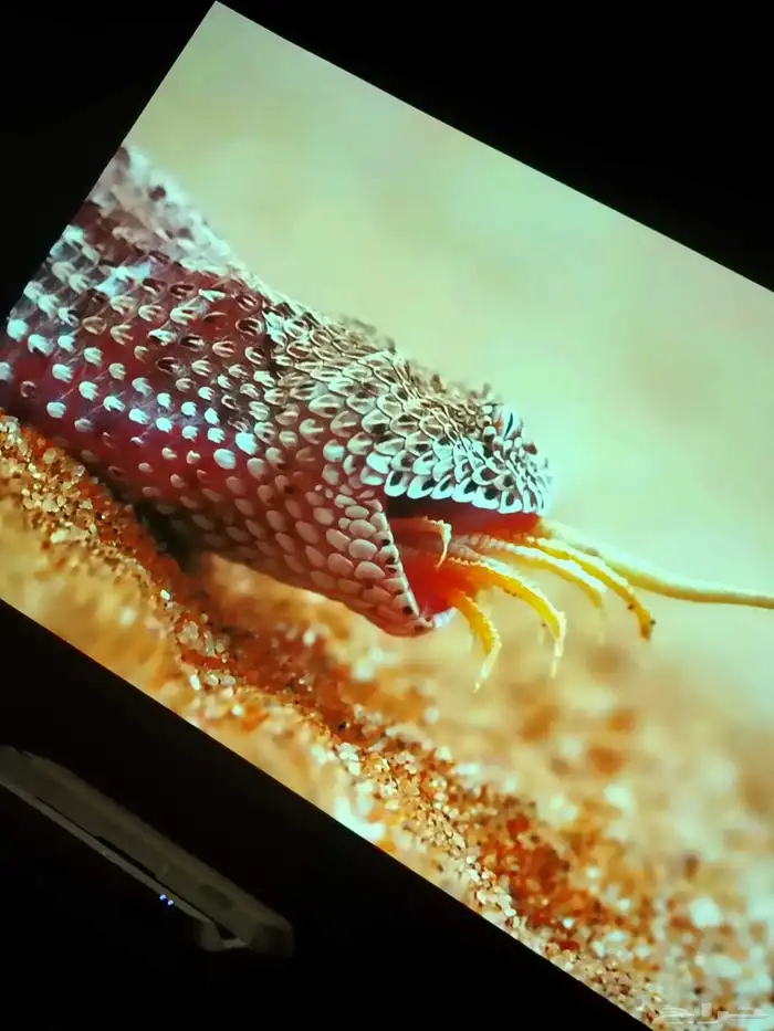 بروجكتر ابسون ليزر 7