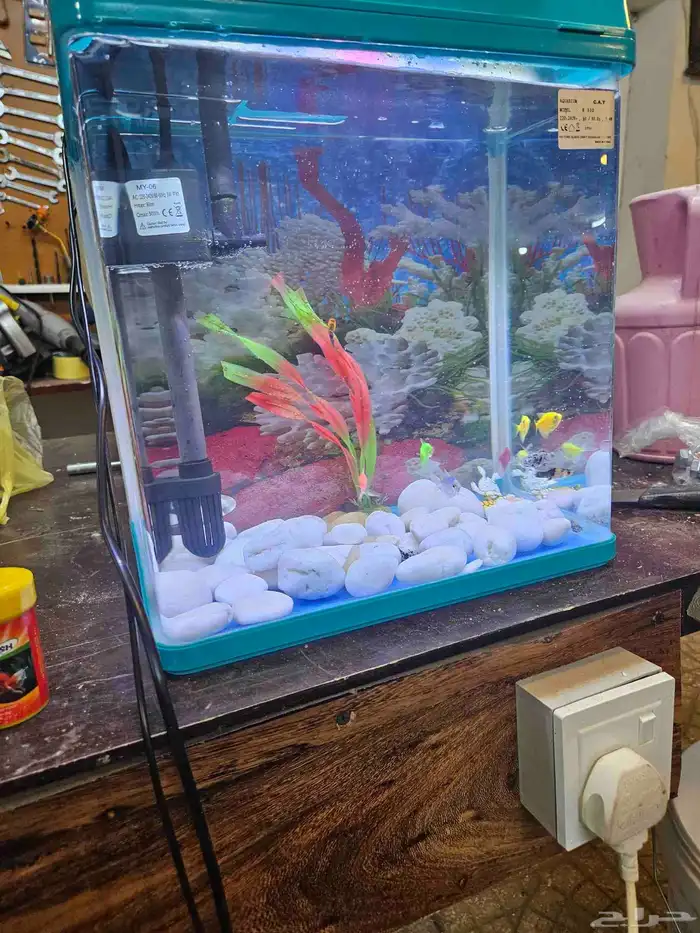 حوض سمك بديكوراته 7