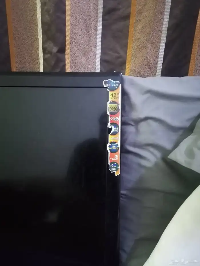 شاشا شقالا. 0