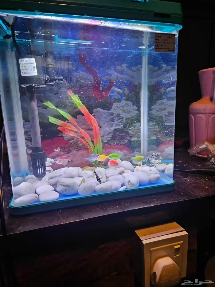 حوض سمك بديكوراته 4