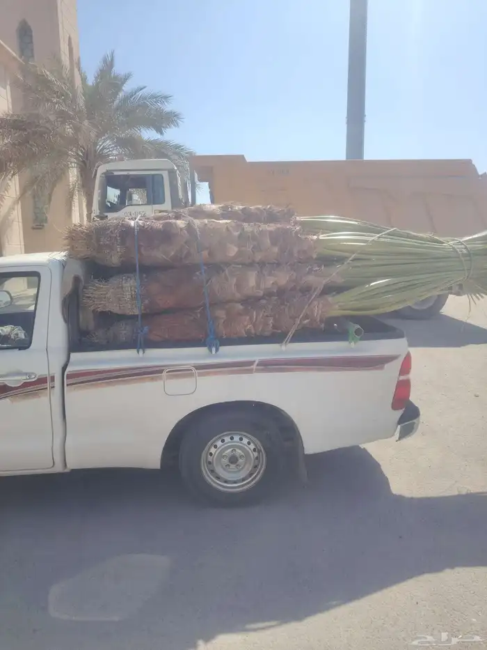 يوجد لدينا نخل عربي وشنطن 1