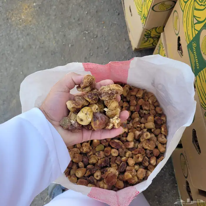 تمر علف للغنم والابل 600 كيس خيشة 1