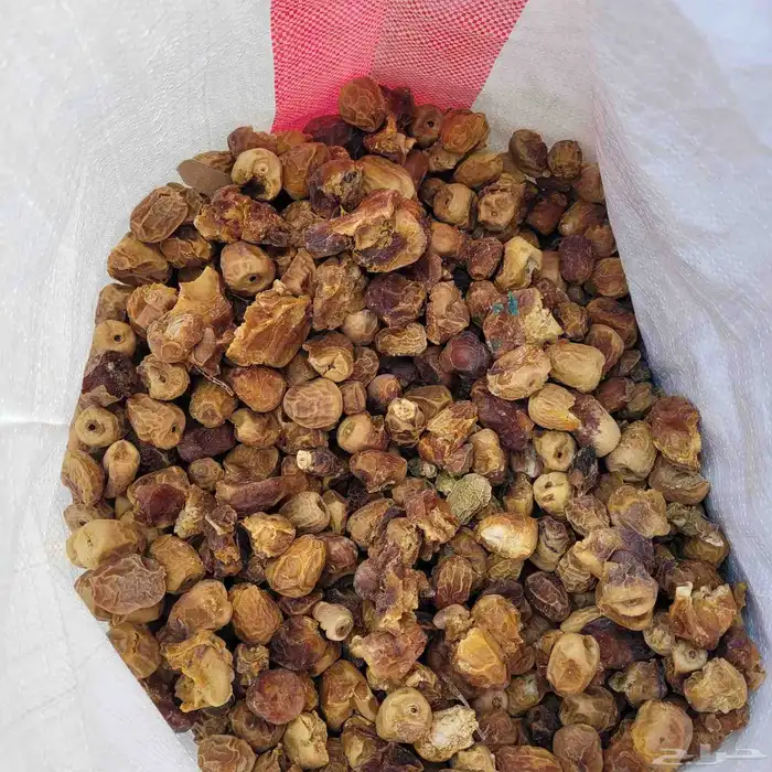 تمر علف للغنم والابل 600 كيس خيشة 2