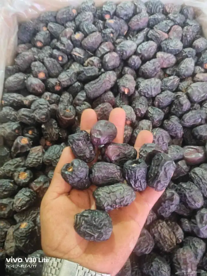 عجوة المدينة انتاج السنة درجة أولى سعر الكيلو 20 ريال (عدد ا 1