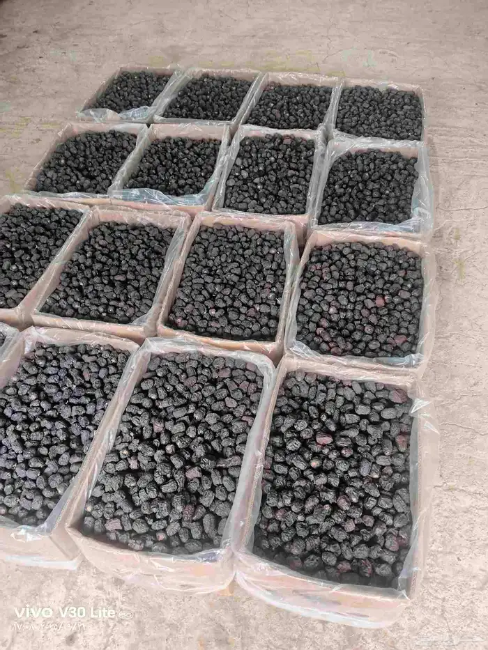 عجوة المدينة انتاج السنة درجة أولى سعر الكيلو 20 ريال (عدد ا 7