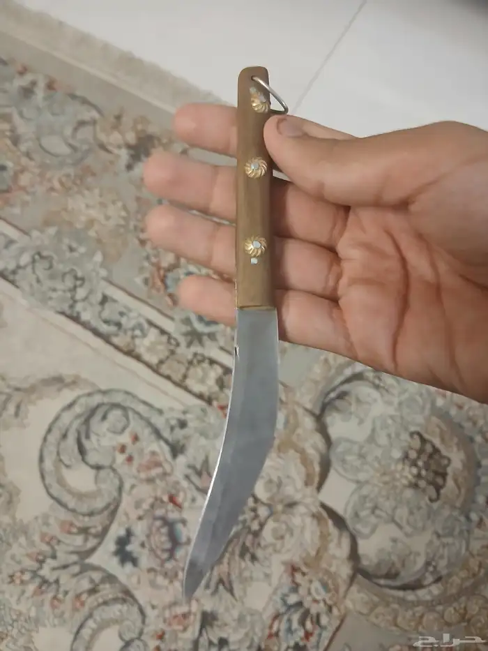 جنبيه مستخدم خفيف 0