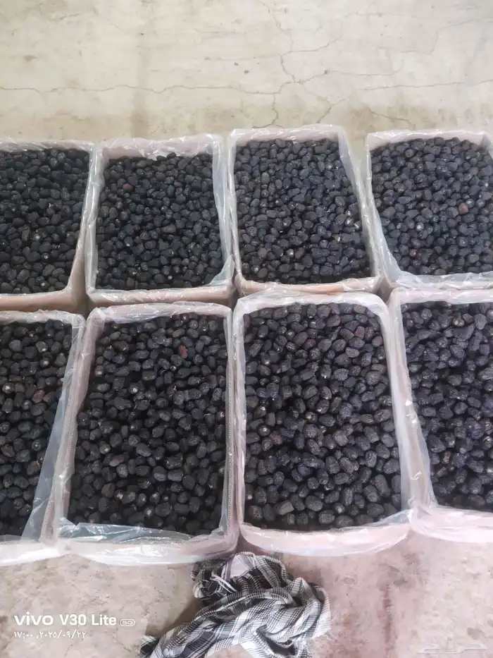 عجوة المدينة انتاج السنة درجة أولى سعر الكيلو 20 ريال (عدد ا 5