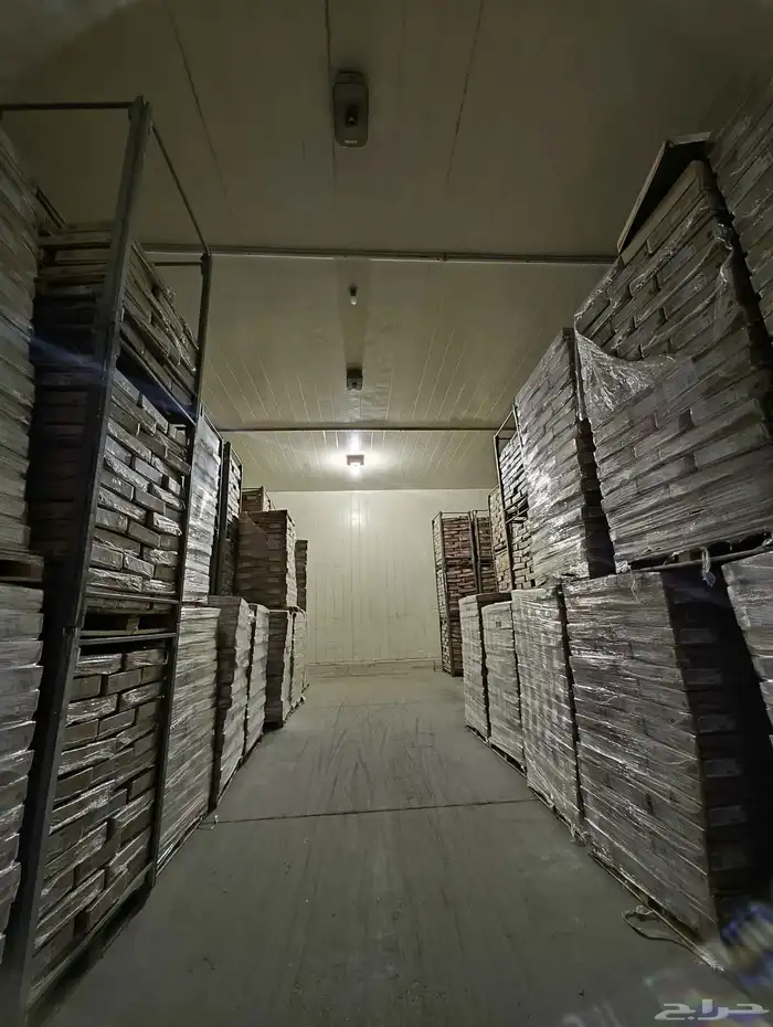 -18 مستودع تجميد اسماك لحوم دجاج تخزين 3