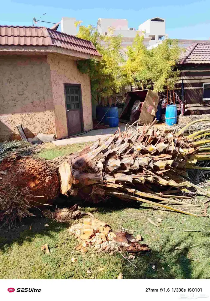 تنضضف نحل قليلا نظيف.تكرب.وشنتن 1