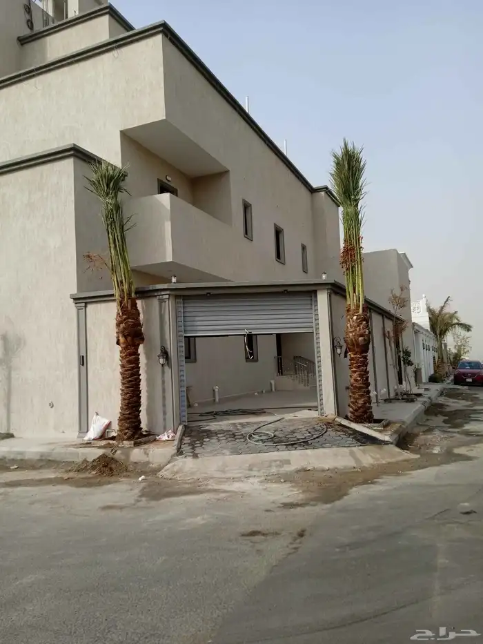 نخل للبيع فسايل وجثايث عربي وواشنطني زينه جده ومكه المكرمه و 7