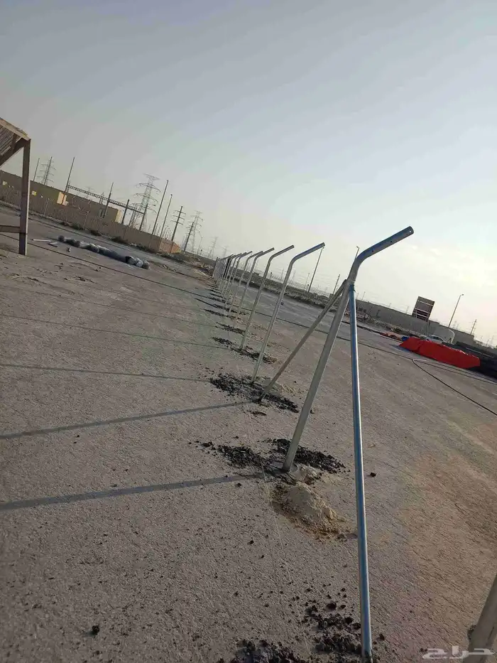 زراعه جميع انواع النخيل العربي واشنطني واعمال الشبوك وتوريده 9