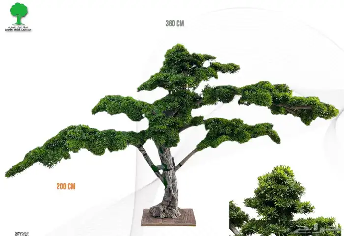 شجر صنايع اي مناطق 2